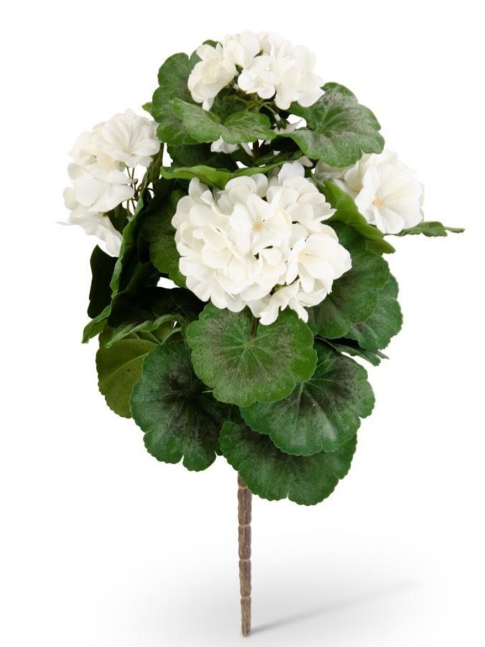 24 Inch White Geranium Spray